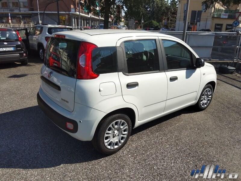 FIAT Panda MY25 1.0 70cv Hybrid
