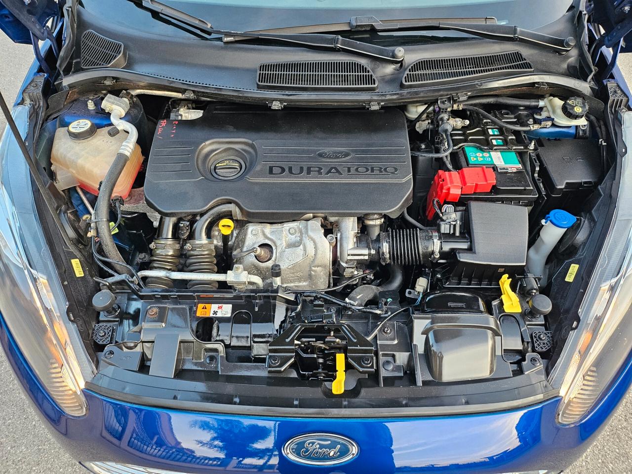 Ford Fiesta 1.5 TDCi 75CV 5 porte Business