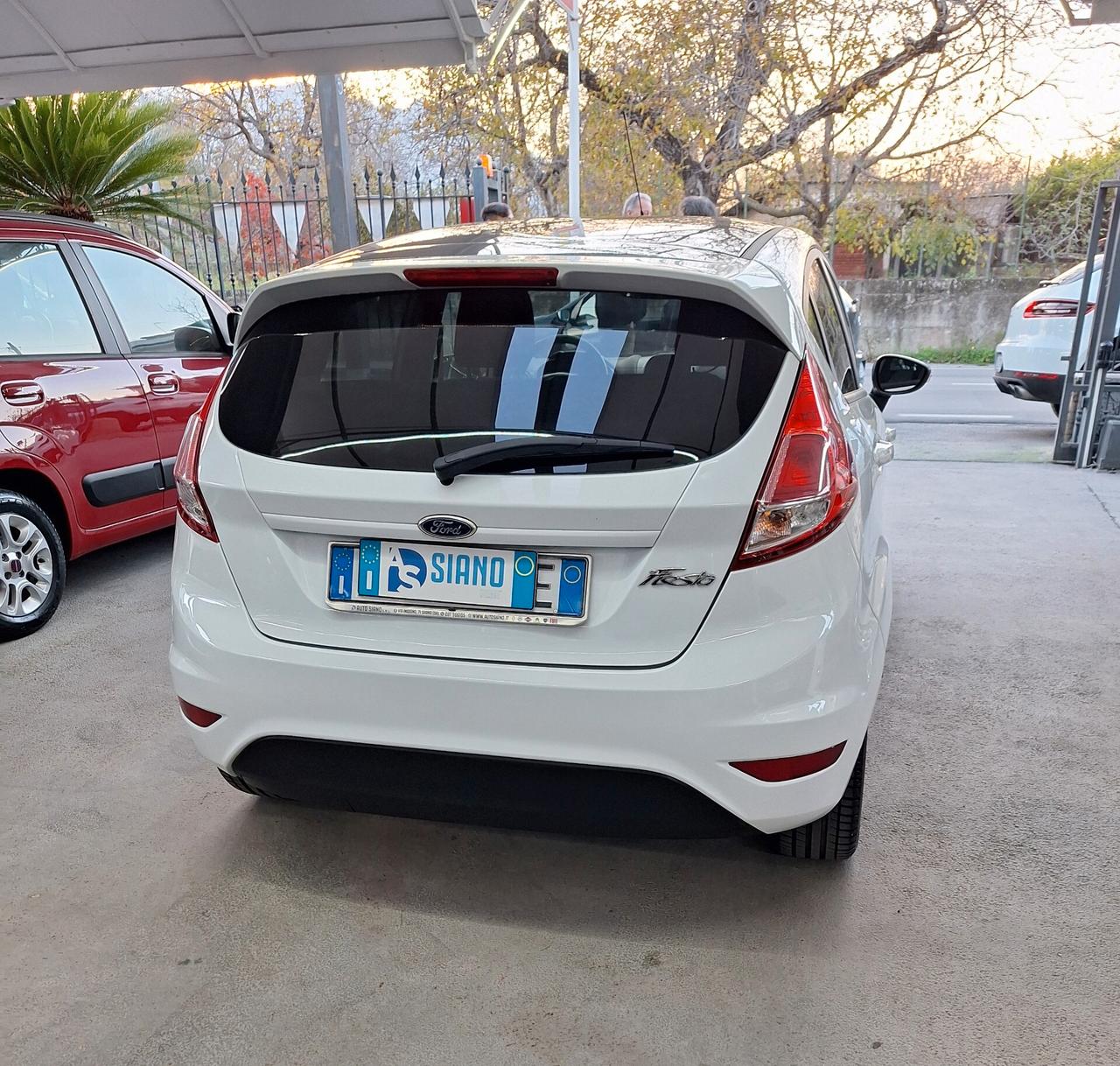 Ford Fiesta 1.5 TDCi 75CV 5 porte Black & White Edition E6