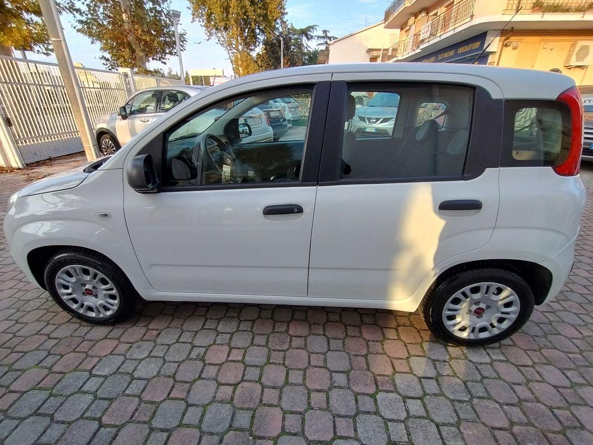 FIAT - Panda - 1.2 GPL EasyPower Easy