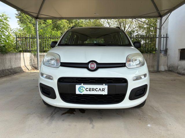 FIAT Panda 1.2 Easy EURO 5 BENZ OK NEOPATENTATI PRONTA CONS.