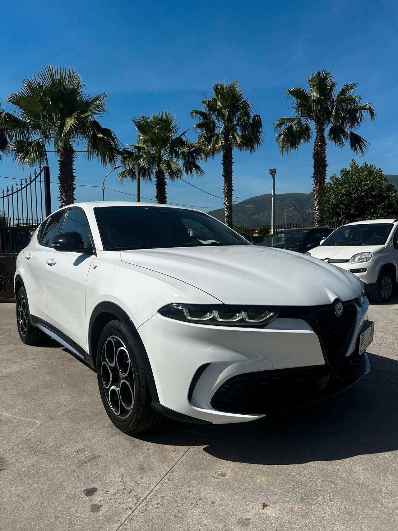 Alfa Romeo Tonale 1.6 diesel 130 CV TCT6 Veloce