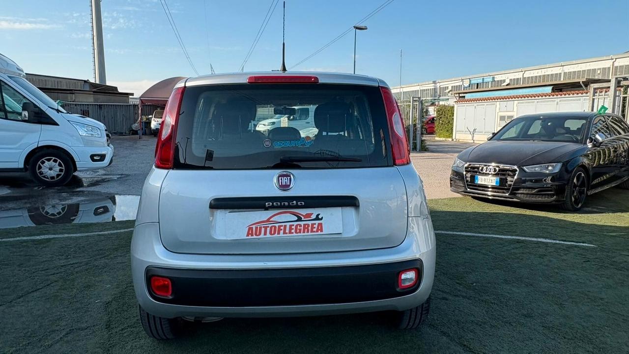 Fiat Panda 1.2 312PXA1A | BENZINA|169A4000 CC 1242 CV 69 KW 51 BERLINA, 5 P. (92816