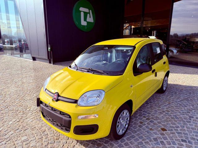 FIAT New Panda ICON - KM 0 10/2025- 5° POSTO - RADIO - SENSORI