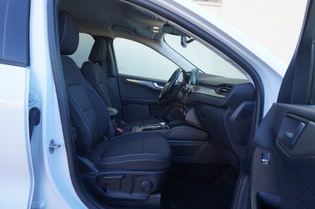 FORD Kuga 1.5 EcoBlue 120CV aut. 2WD Titanium Business