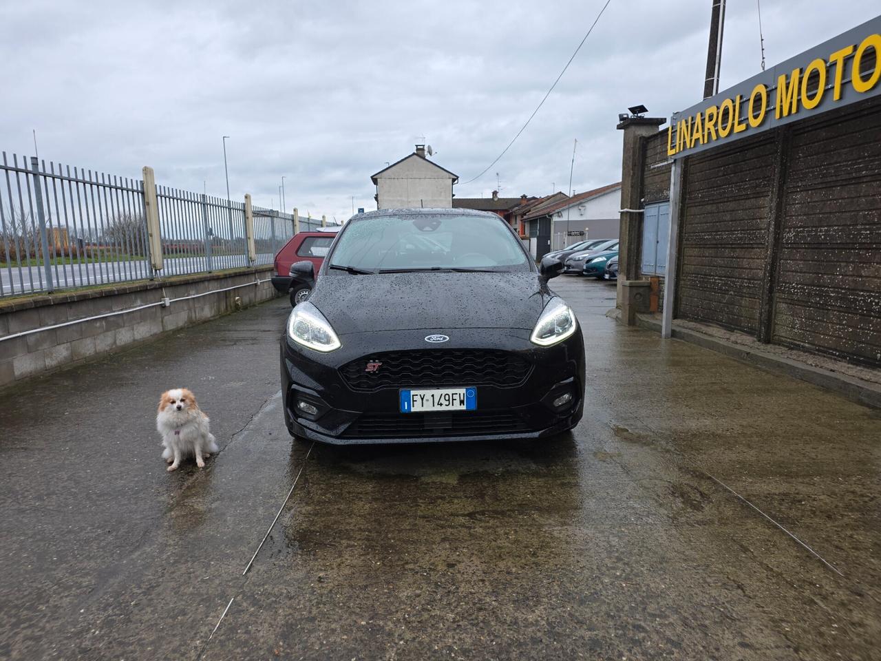 Ford Fiesta 1.5 EcoBlue 5 porte ST-Line