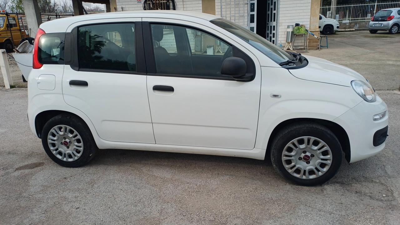 Fiat Panda 1.2 Easy SOLO 80MILA KM 2020