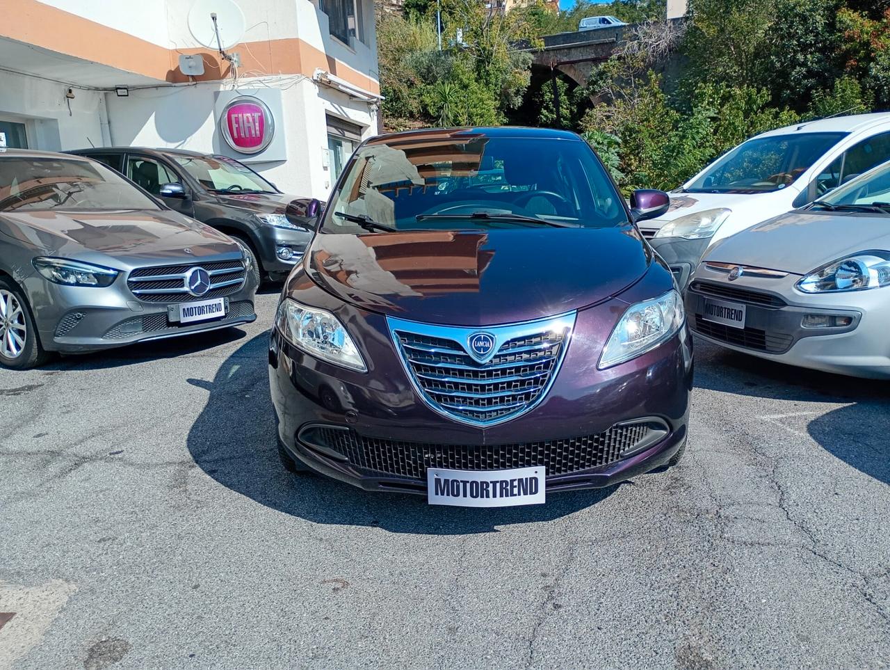 Lancia Ypsilon 1.2 69 CV 5 porte Elefantino