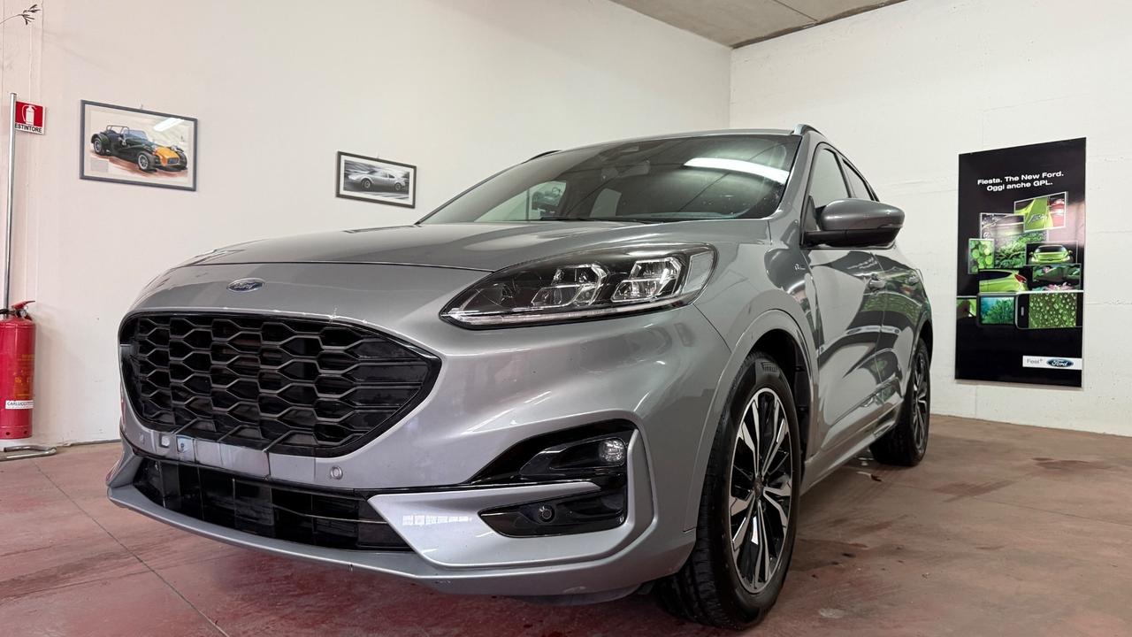Ford Kuga 2.0 EcoBlue Hybrid 150 CV 2WD St Line X