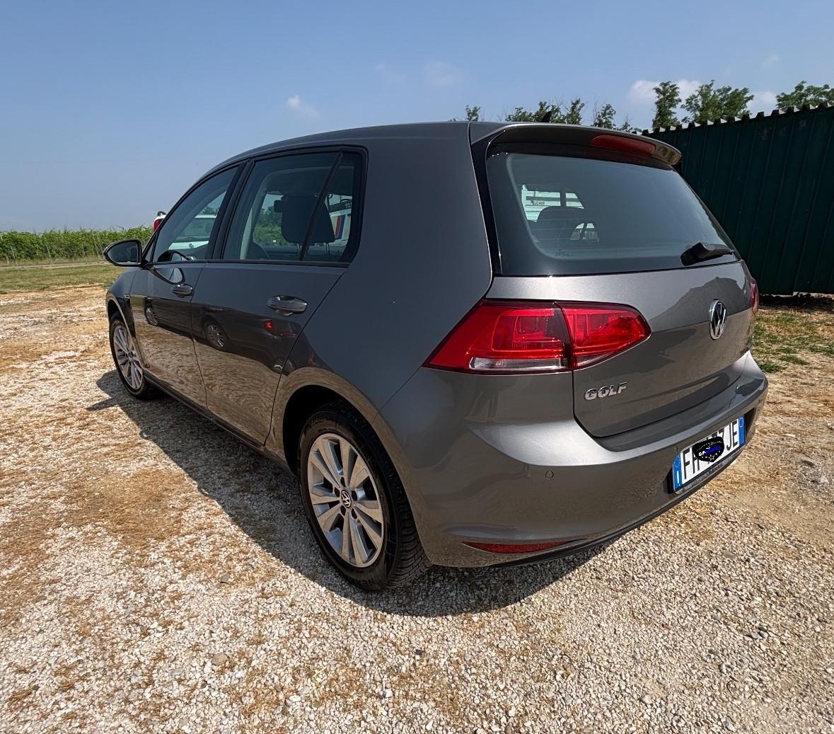 Volkswagen Golf 1.4 TGI 5p. Executive BlueMotion