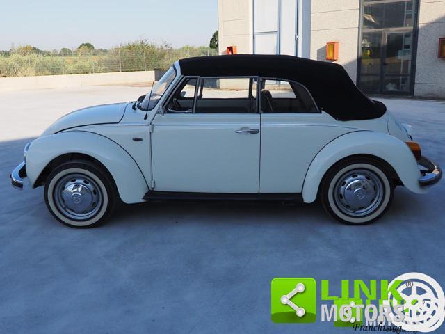 VOLKSWAGEN Maggiolone cabrio
