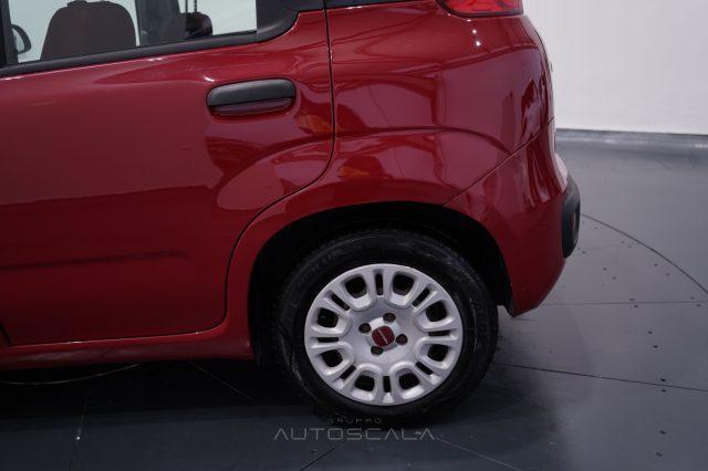 FIAT Panda 1.2 69cv Easy