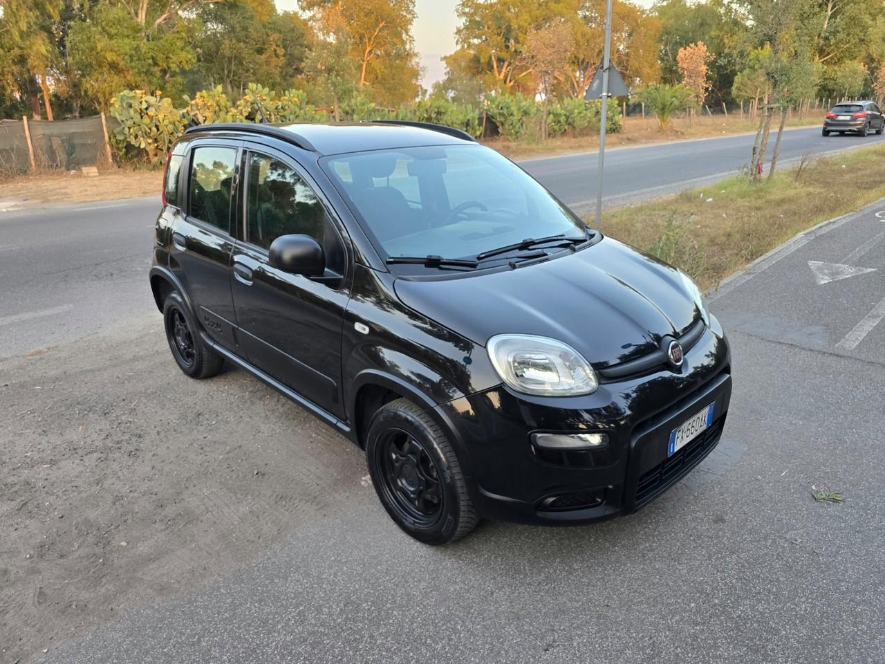 Fiat Panda 0.9 TwinAir Turbo S&S 4x4