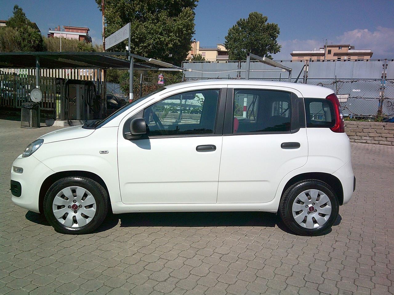 Fiat Panda 1.2 Pop SOLO KM 11000*PREZZO VERO*