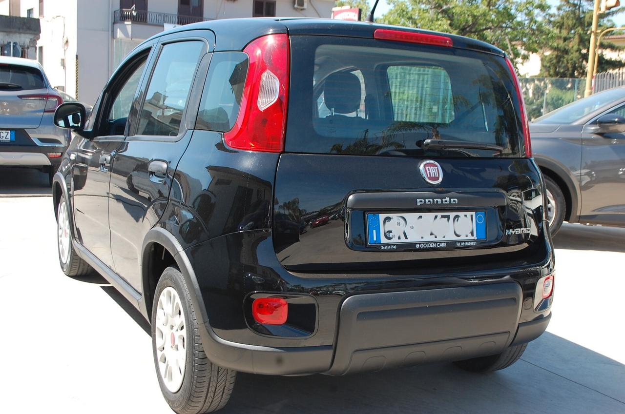 Fiat Panda 1.0 firefly hybrid 70CV S&S Uff Italy Clima City