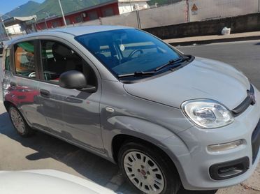 Fiat Panda 2017 1.2 easyPower Gpl casa madre 1 Propr