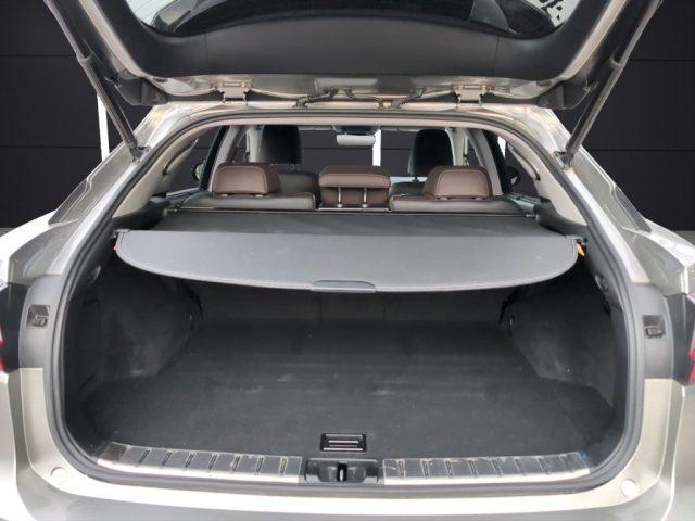 LEXUS RX 450h RX Hybrid Luxury