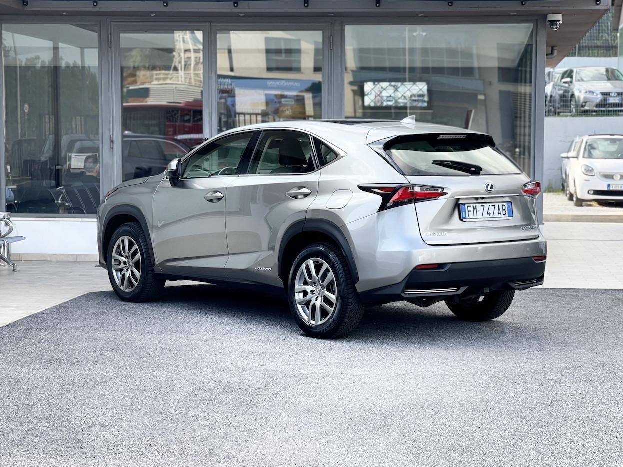 Lexus NX 300h 2.5 Hybrid 155CV E6 Automatica - 2017