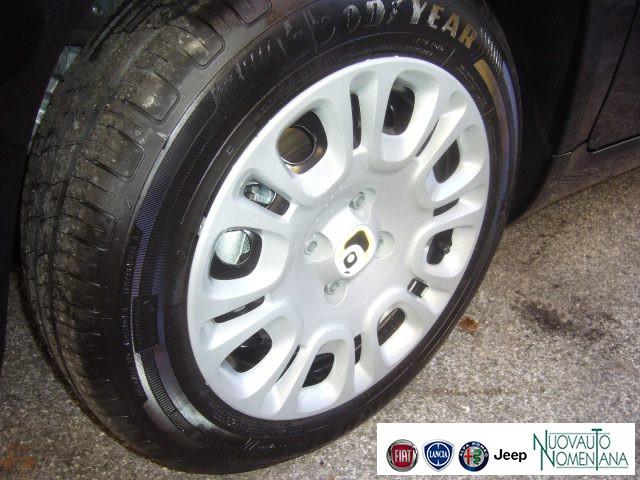 FIAT Panda 1.0 FireFly S&S Hybrid Pop Km0 Pronta Consegna