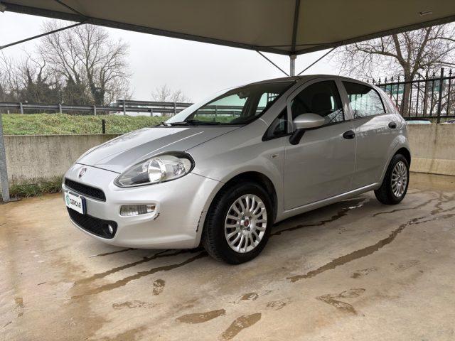 FIAT Punto 1.2 8V 5 porte Street POCHI CHILOMETRI EURO 6