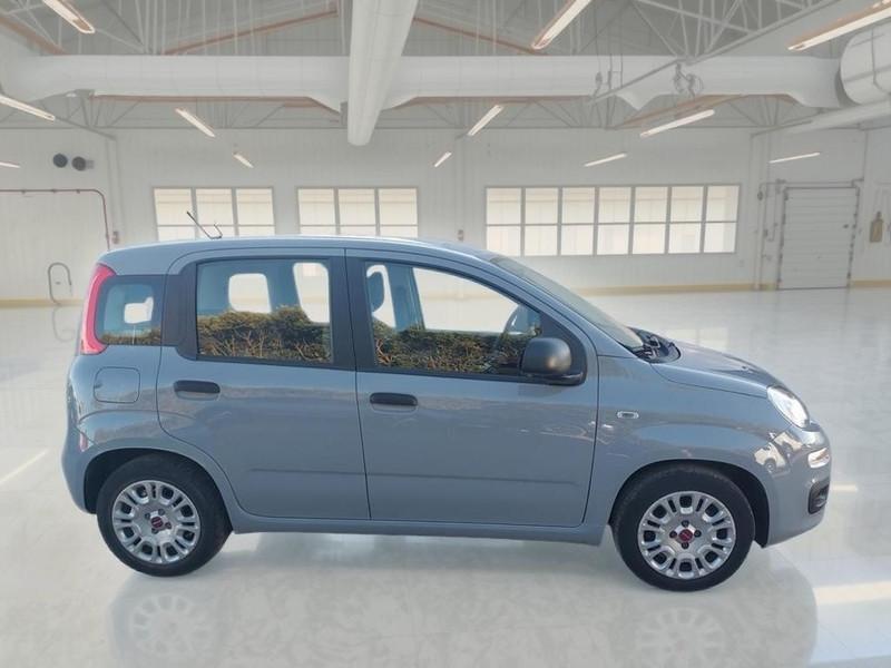 FIAT PANDA 1.0 FIREFLY 70 CV SES HYBRID 5 PORTE BERLINA