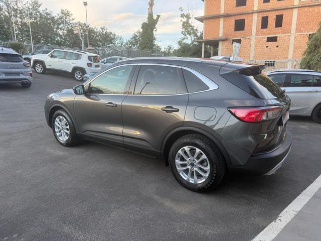 FORD Kuga 1.5 EcoBlue 120 CV 2WD Titanium Business