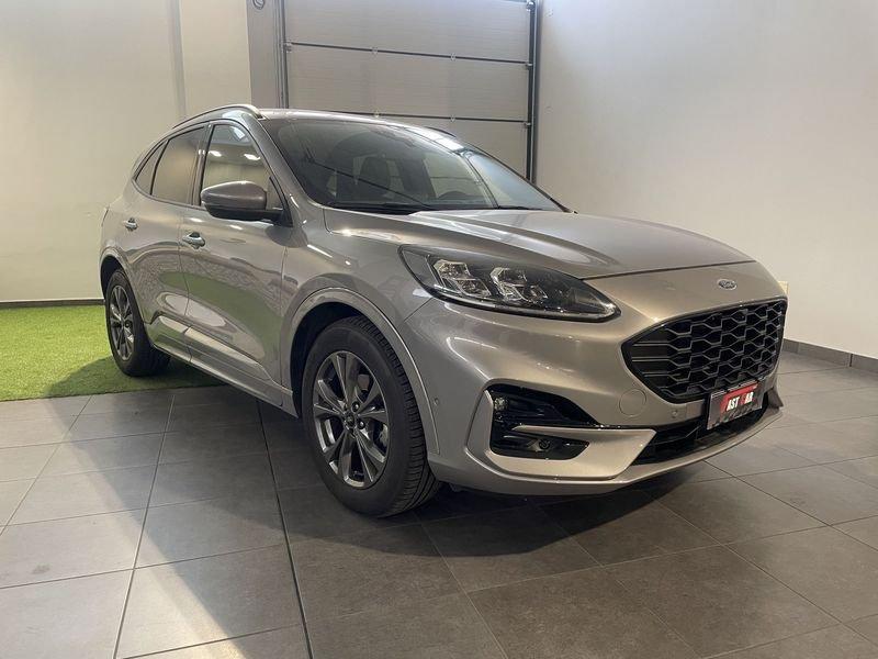 Ford Kuga Kuga 1.5 EcoBlue 120 CV aut. 2WD Titanium Business