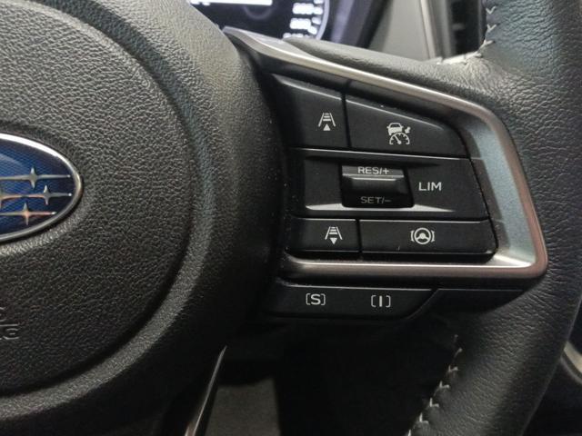 SUBARU Crosstrek 2.0i e-Boxer MHEV CVT Lineartronic Premium