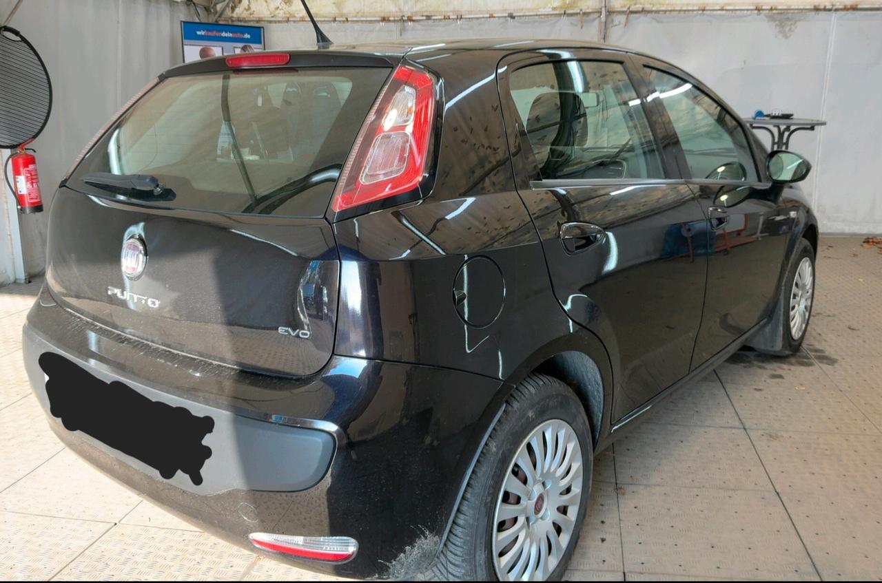 Fiat Punto Evo 1.4 5 porte Dynamic