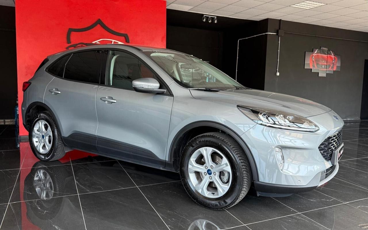 Ford Kuga 1.5 EcoBlue 120 CV aut. 2WD Titanium Business