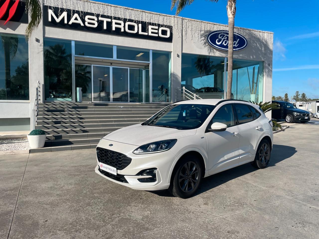 Ford Kuga 1.5 EcoBlue 120 CV 2WD ST-Line Automatica