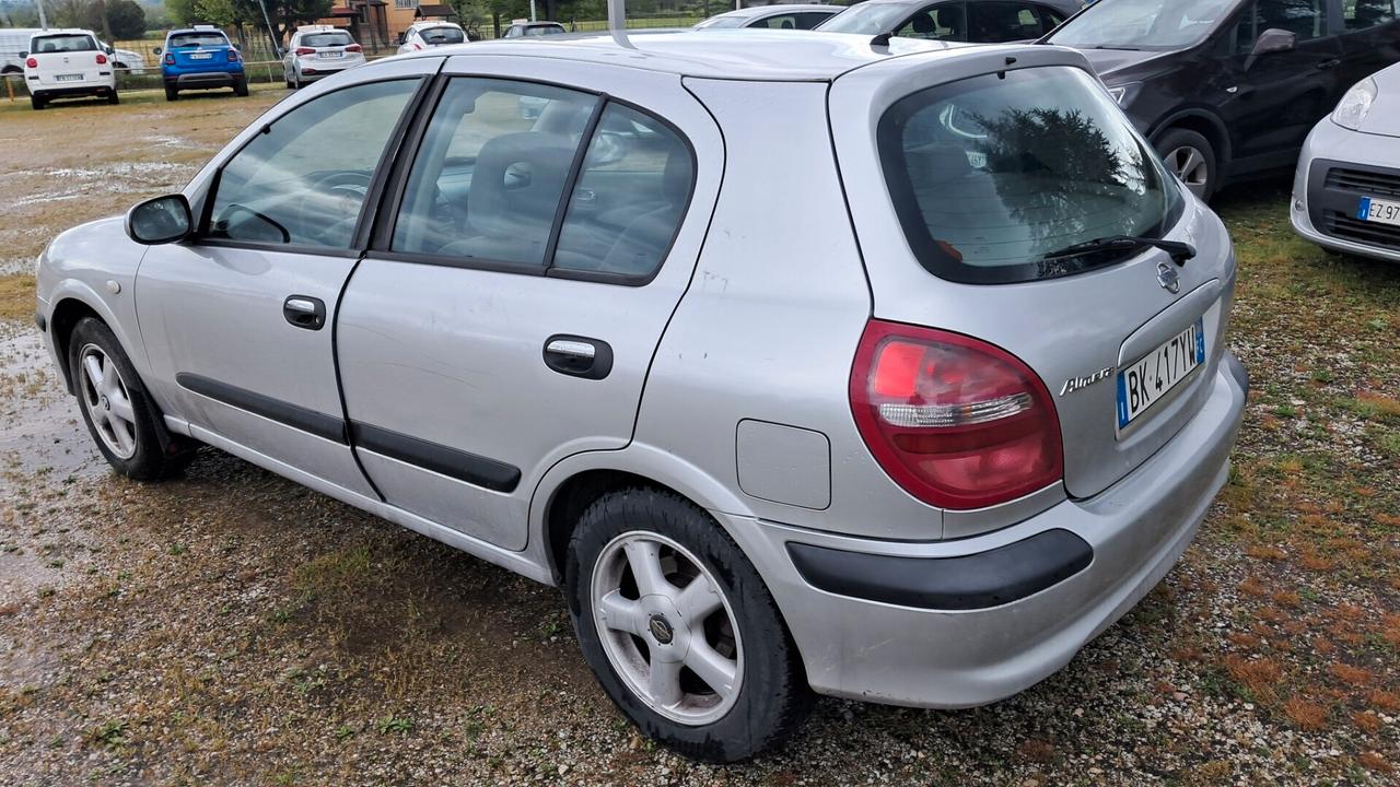Nissan Almera Tino Almera 1.5 16V 5 porte Comfort Gpl x Commercianti
