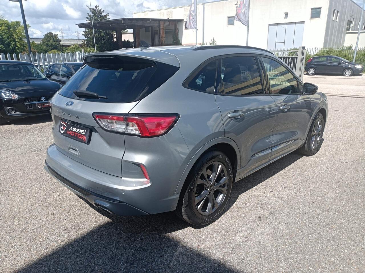 Ford Kuga 1.5 EcoBlue 120 CV aut. 2WD ST-Line X