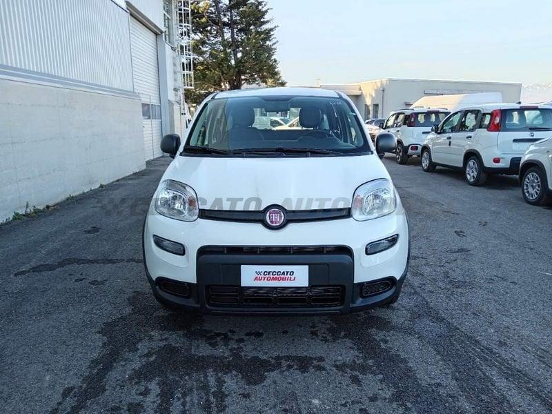 FIAT Panda My24 1.0 70cv Hybrid Panda