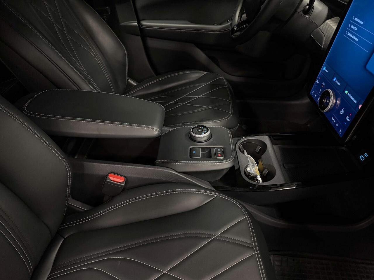 Ford Mustang Mach-E standard range rwd 269cv