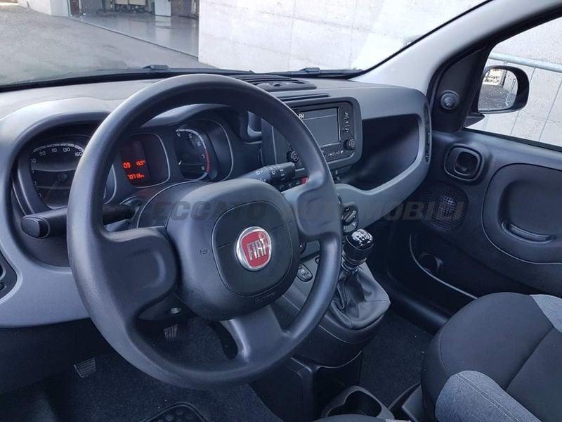 FIAT Panda Panda 1.0 firefly hybrid City Life s&s 70cv 5p.ti