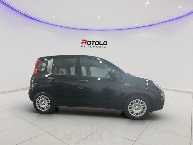 FIAT Panda 1.0 FireFly S&S Hybrid Icon