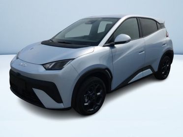BYD Dolphin Surf Comfort