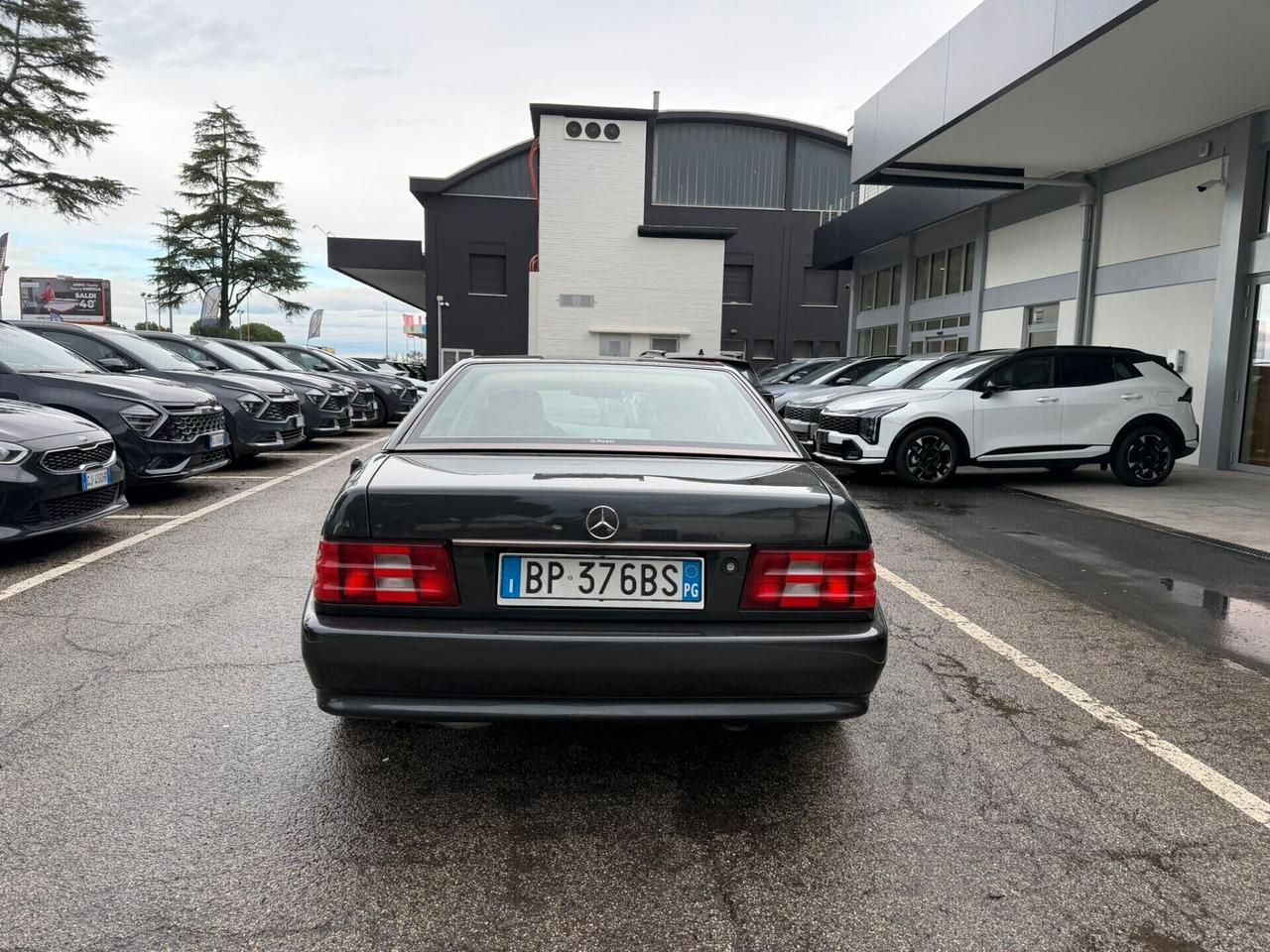 Mercedes-benz SL 300 SL-24 cat