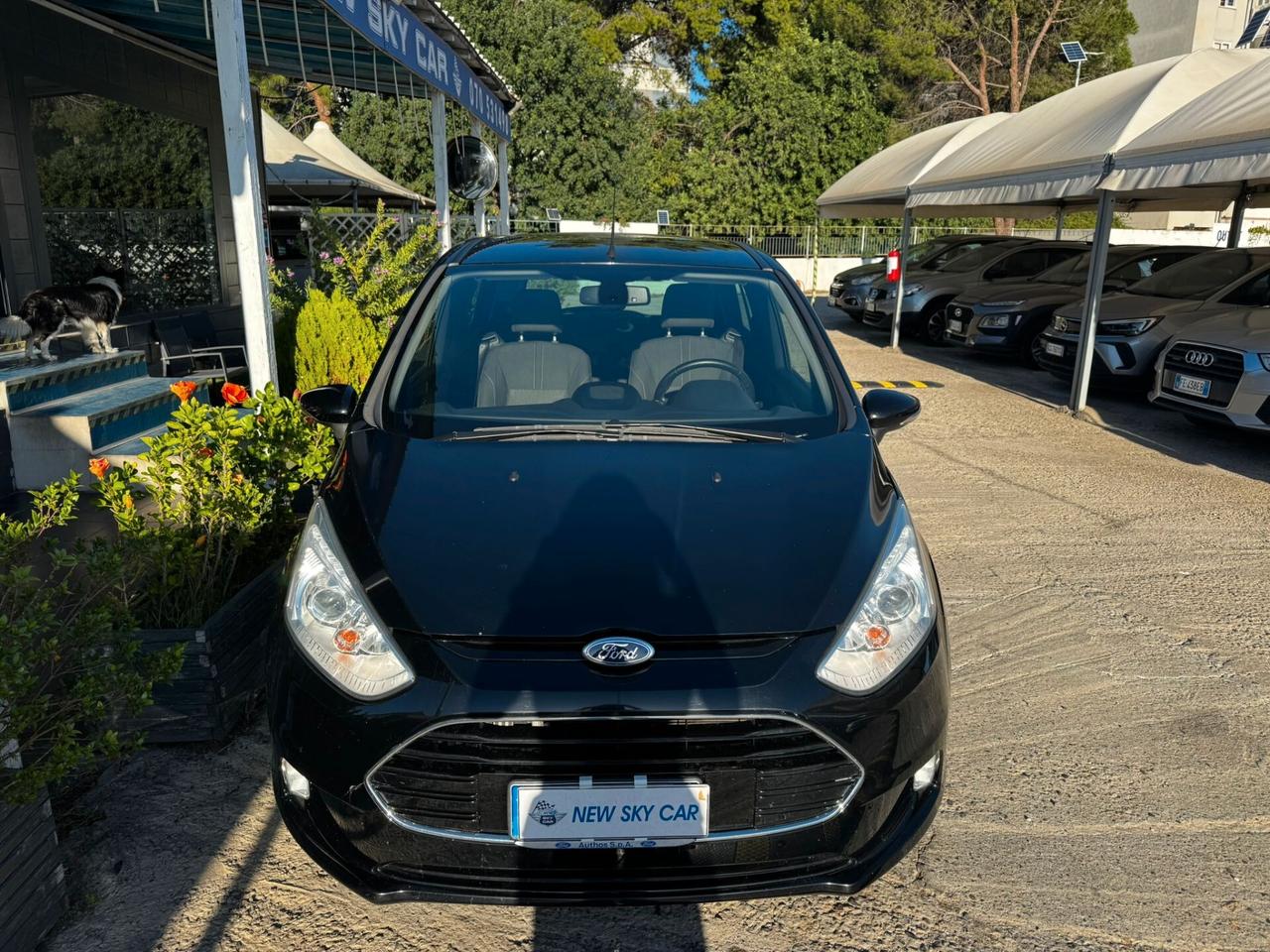 Ford B-Max 1.5 TDCi 95 CV Business Titanium