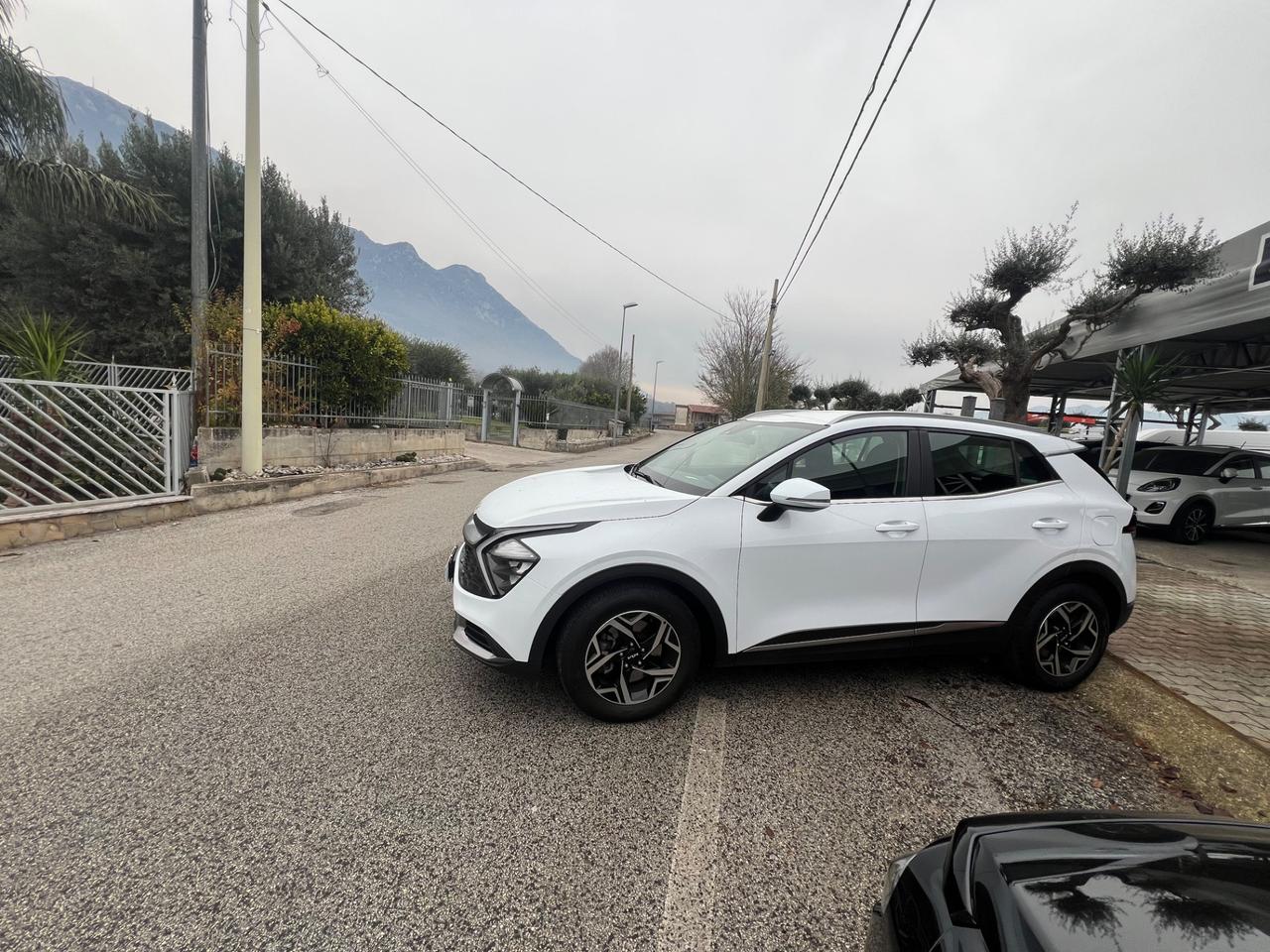 Kia Sportage 1.6 CRDI 136 CV 2WD Mild Hybrid Business Class