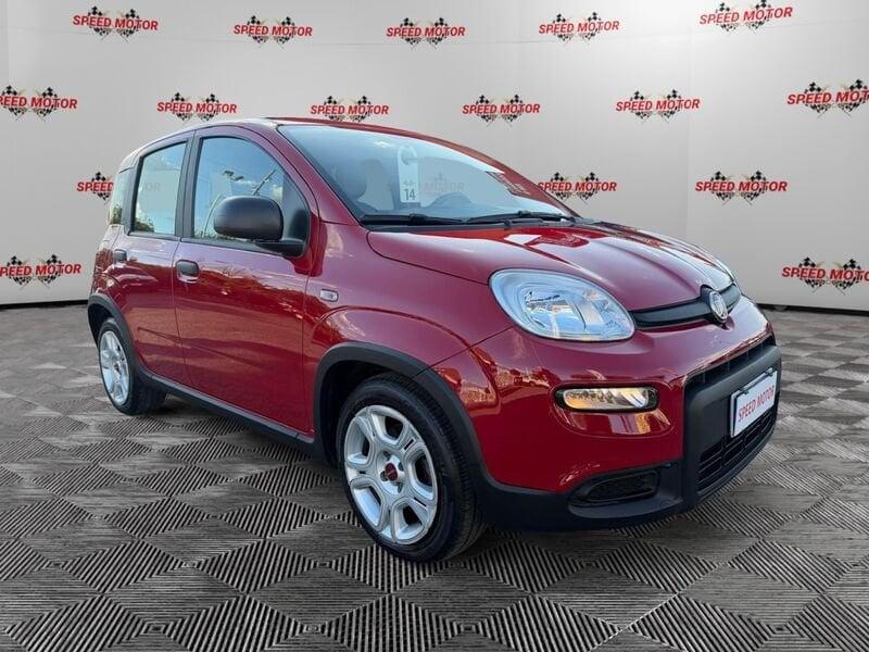 FIAT Panda Panda 1.0 firefly hybrid 70cv 5 POSTI, PRONTA CONSEGNA!