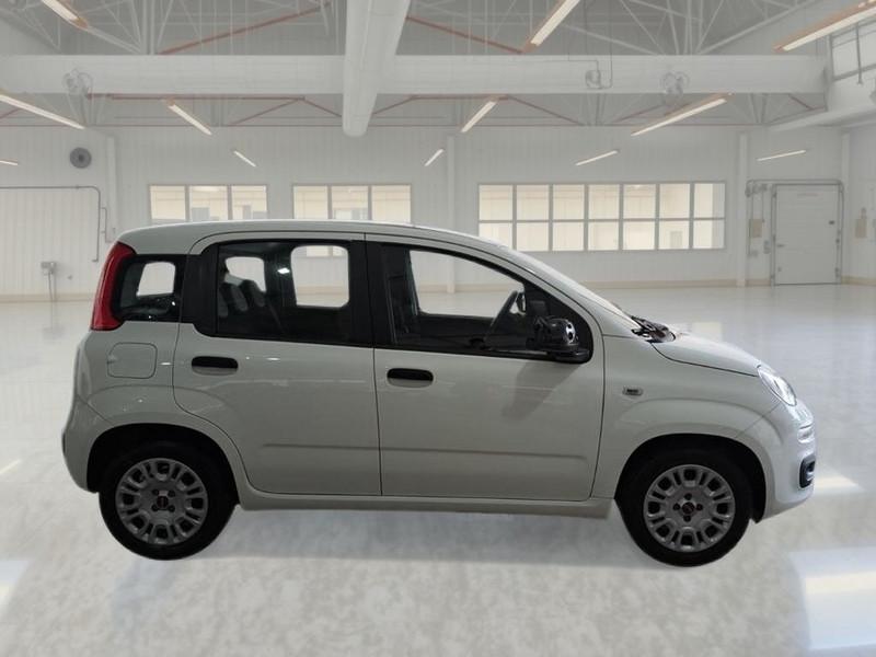 FIAT PANDA 1.0 70 CV SES HYBRID E6D-T EASY 5 PORTE BERLINA