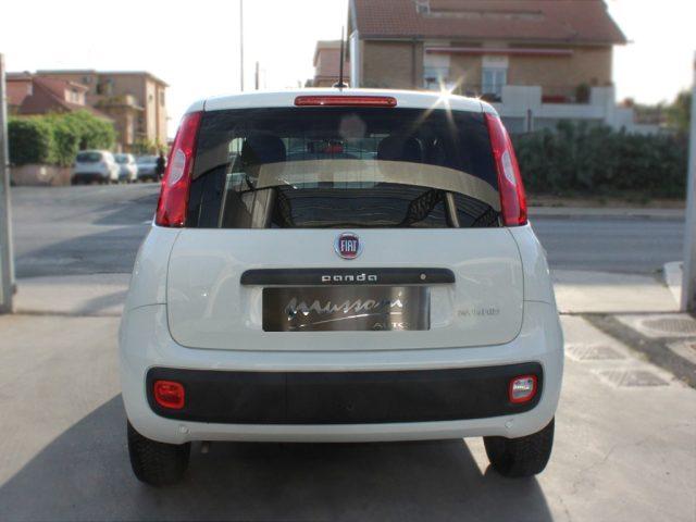 FIAT Panda 1.0 S&S Hybrid Pop Van 2 posti AUTOCARRO +IVA