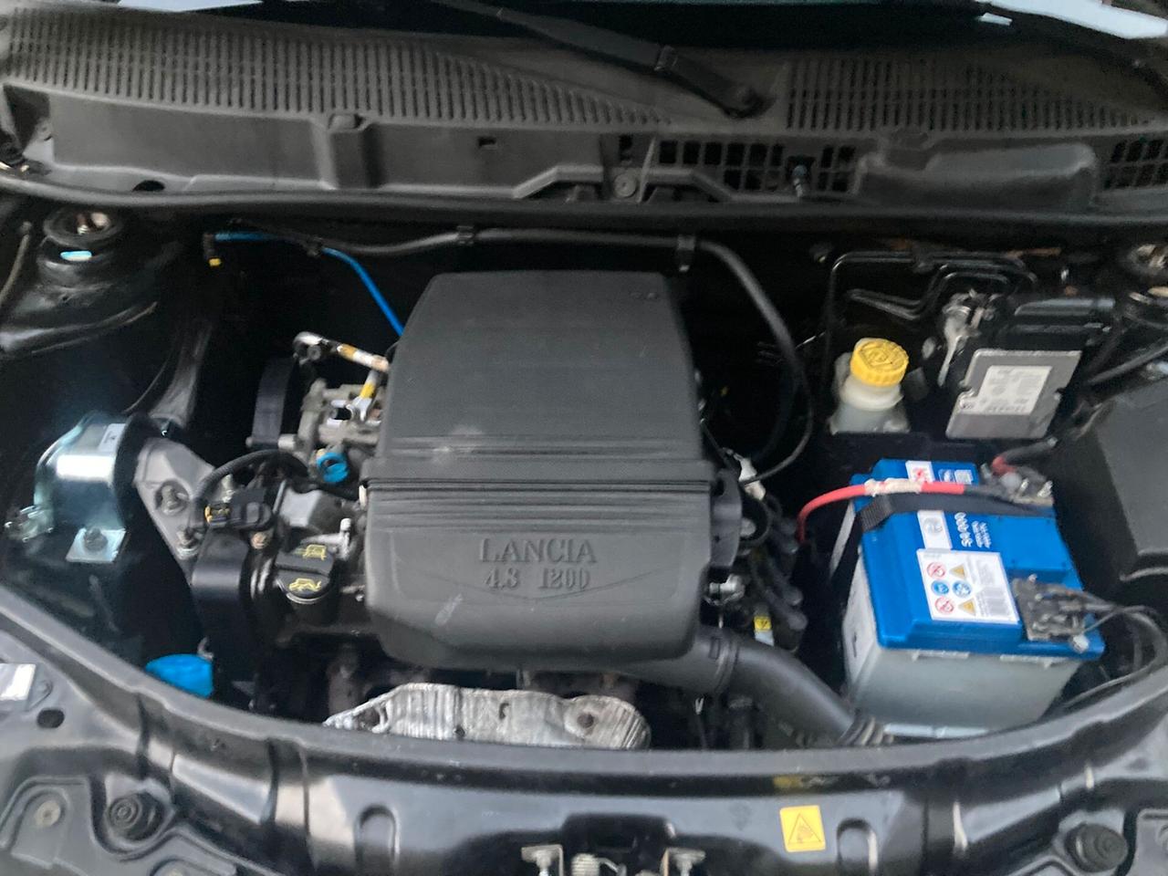 Lancia Ypsilon 1.2 - IDEALE X NEOPATENTATI - 2007