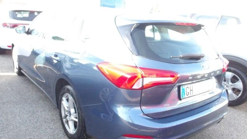 Ford Focus 1.5 EcoBlue 120 CV automatico SW Business Co-Pilot