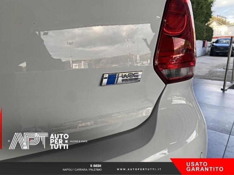 Volkswagen Polo Polo 2.0 tsi R-WRC 220cv 3p