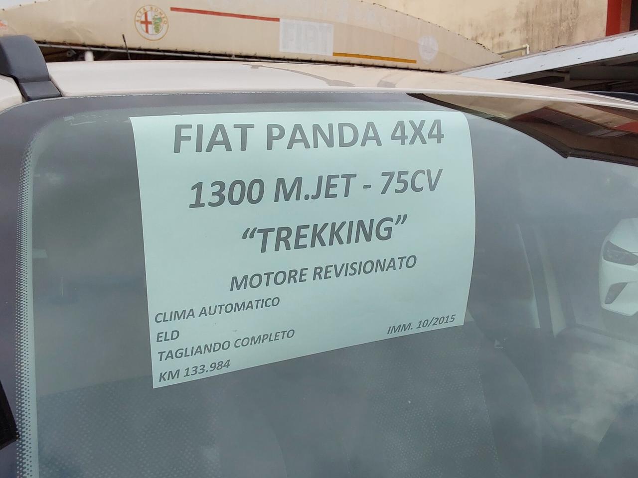 Fiat Panda 1.3 MJT 4x4 (Motore Revisionato).