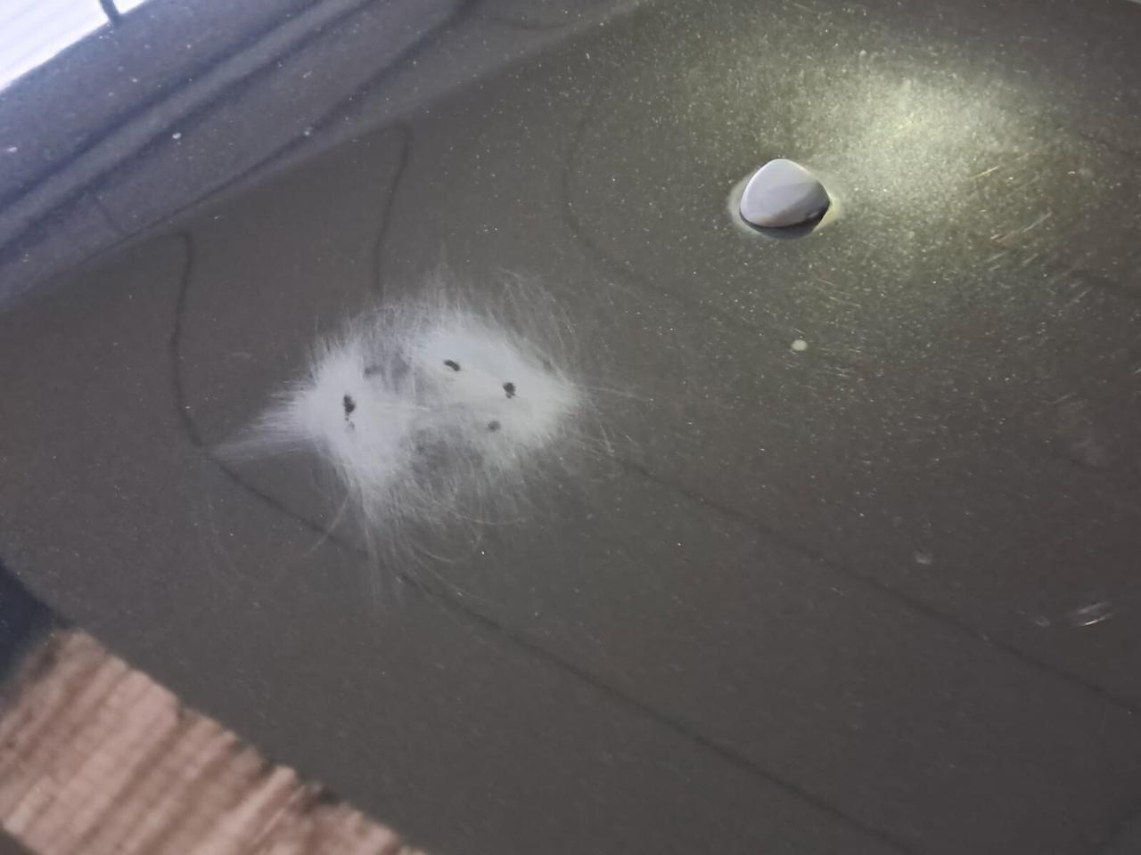 Fiat Tipo 1.6 Mjt S&S SW Lounge