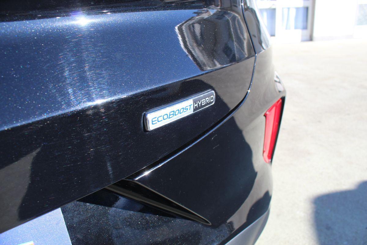 FORD - Puma - 1.0 EcoB. Hyb. 125 CV S&S aut. Tit.